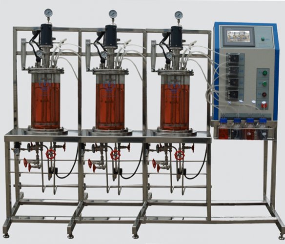 多联平行机械搅拌玻璃发酵罐