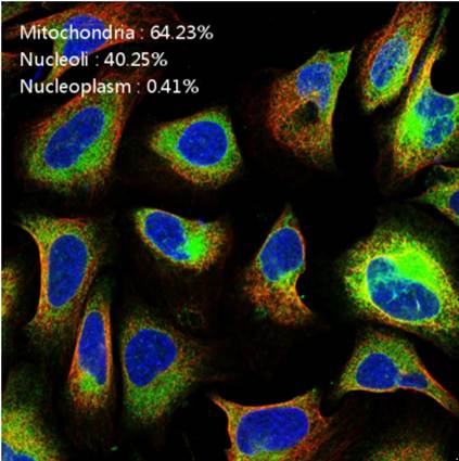 人工智能实验平台(图17) 蛋白质分类评估
